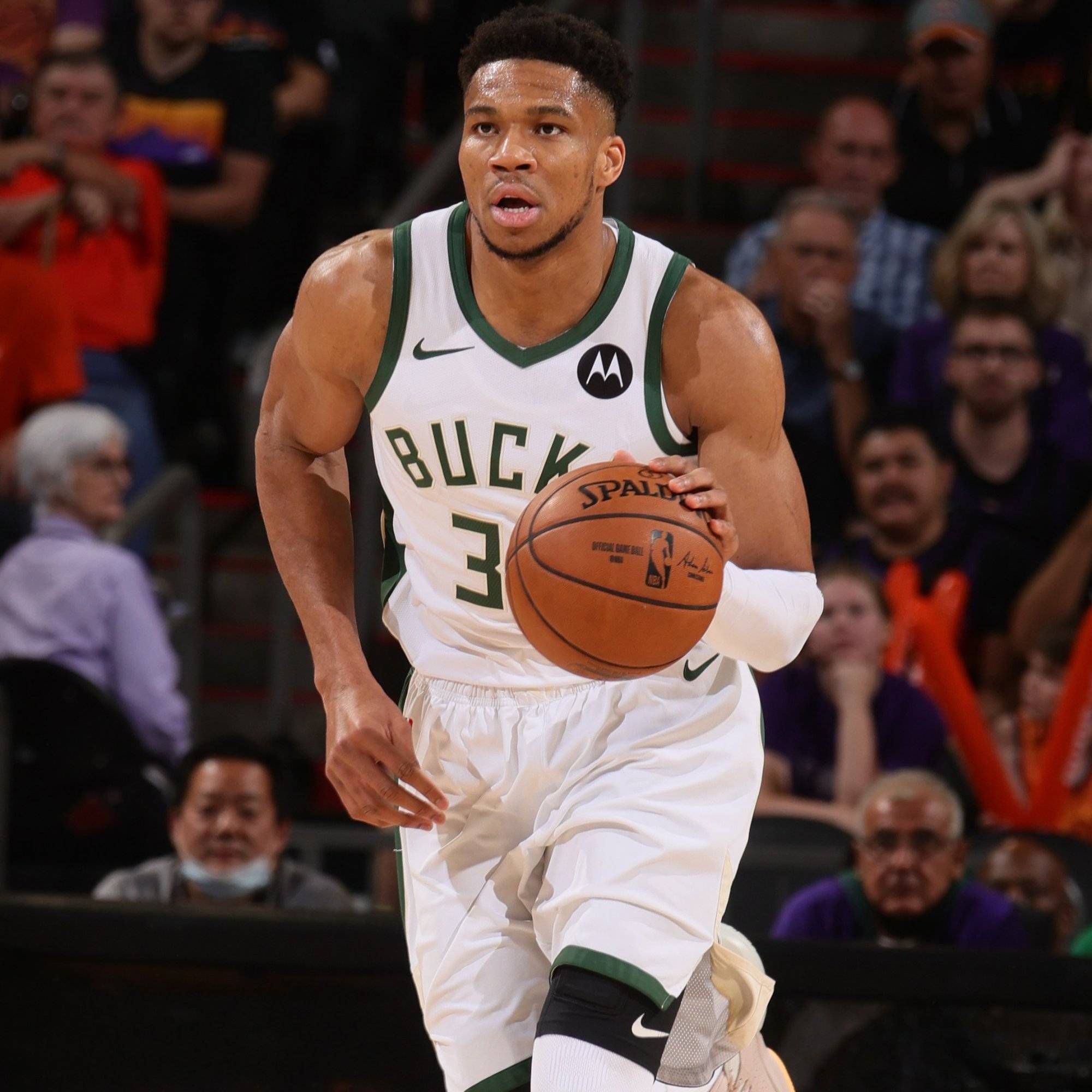 即便无法双 即便无法双